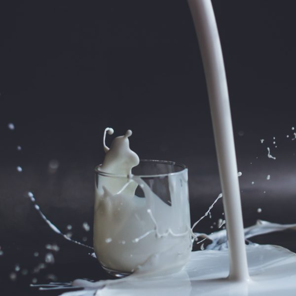 The Milky Way: Exploring Delicious Milk Products and Their Benefits